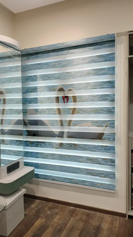 Printed zebra blind showing two swans on water, installed in a dressing area